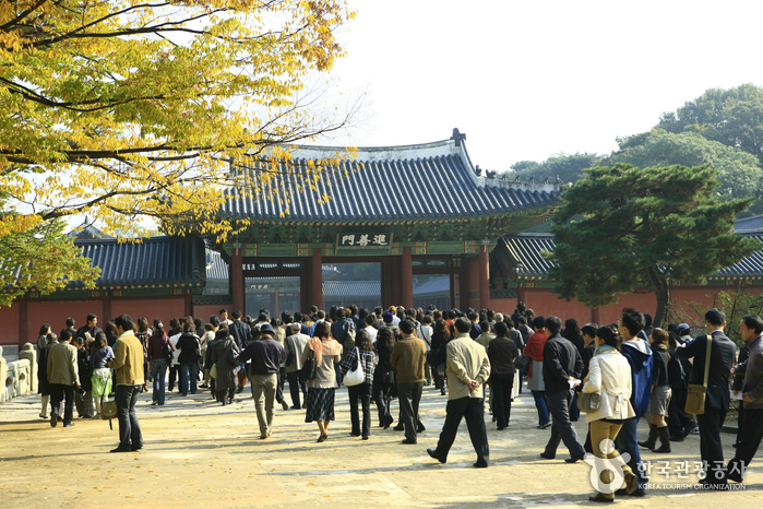 Changdeokgung Palace and Huwon [UNESCO World Heritage]
