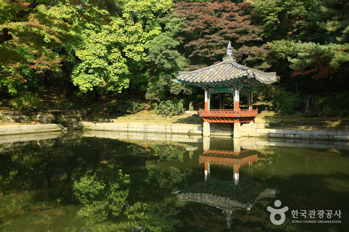 Changdeokgung Palace and Huwon [UNESCO World Heritage]